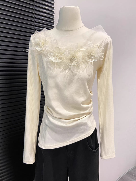 Women's 3D Floral Lace Mesh Long Sleeve Top