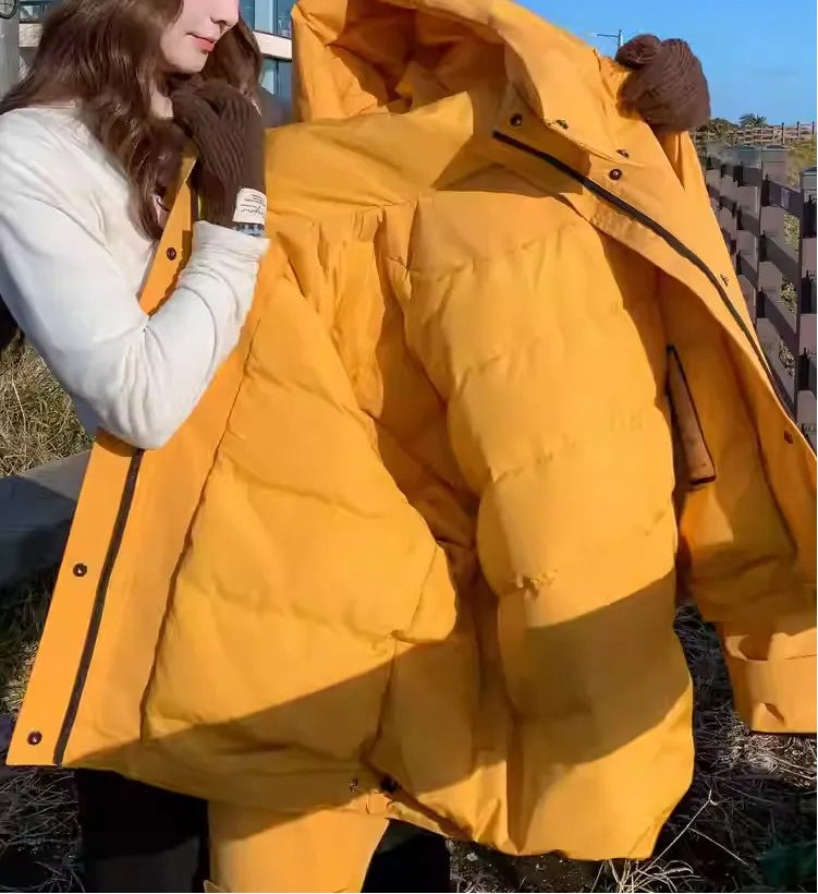 Windbreaker Puffer Jacket